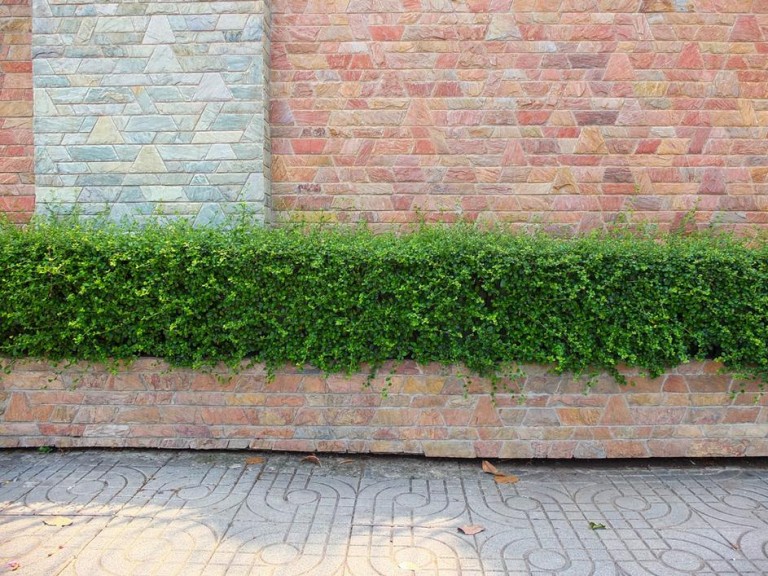 Comment réussir son aménagement extérieur à Pont-à-Mousson ?